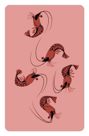 La marche du crabe - Jeu de plateau de stratégie coopératif - Rouge et Noir